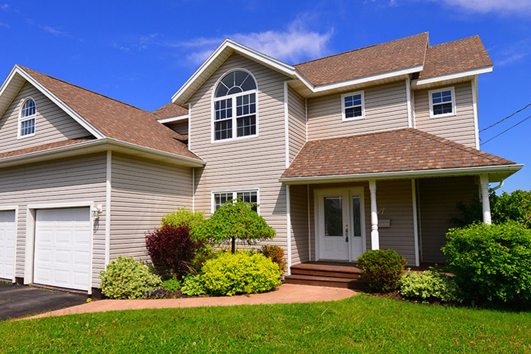 Xem Video Về Dự Án