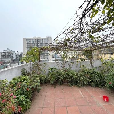 Nhà 6 Tầng, Ngõ Thông, Hào Nam, Dt Sổ Đỏ 39M2